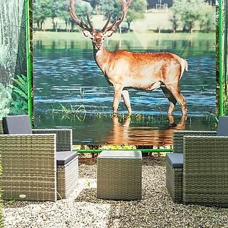 49 Apartahotel