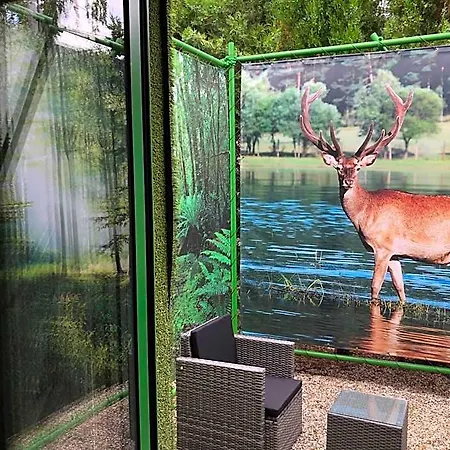Apartahotel 49